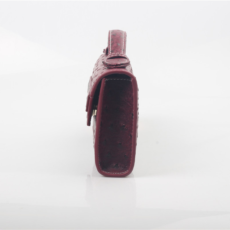 Bolsos de Mano con Patrón de A - Women Bags In Dubai reseña y precio